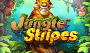 BetSoft Jungle Stripes Slot Game Thumbnail