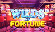 Betsoft Wilds of Fortune Slot Game Thumbnail