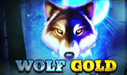 Pragmatic Play Wolf Gold slot game