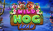 Spinlogic Wild Hog Luau Slot Game Thumbnail