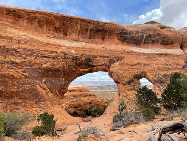 Partition Arch
