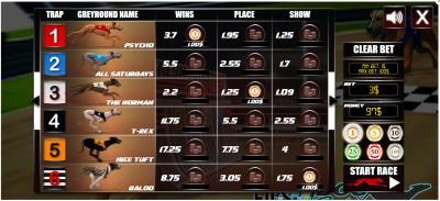 dog_racing_1.jpg.jpg