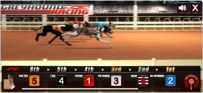 dog_racing_2.jpg.jpg