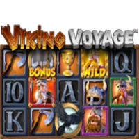 Viking Voyage