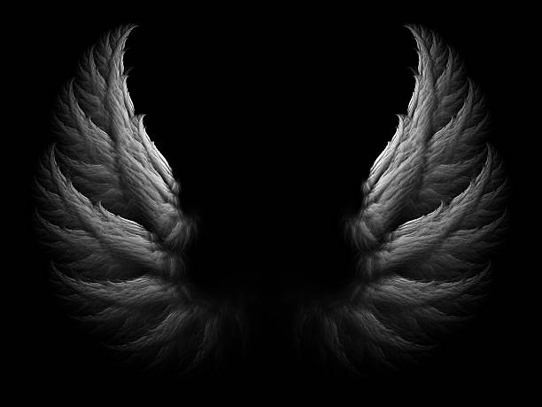 AngelusD