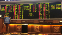 sports betting
