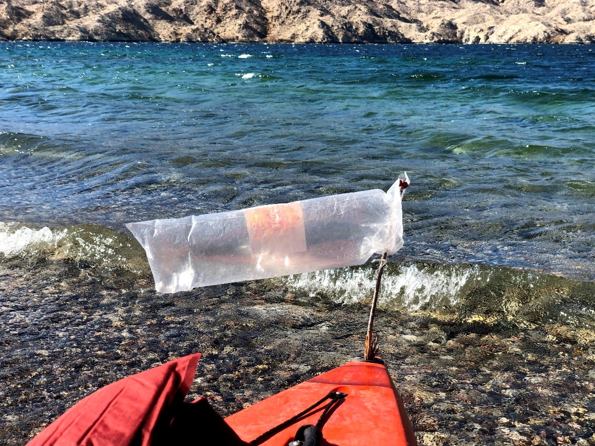 The windsock