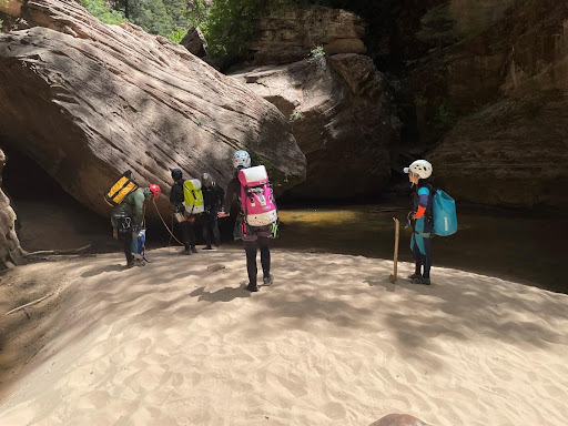 Image 8