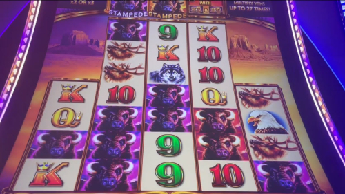 stampede example