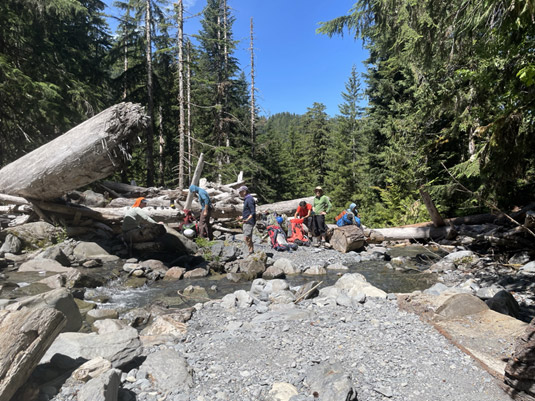 Stream crossing